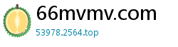 66mvmv.com